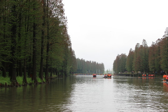 興化李中水上森林公園