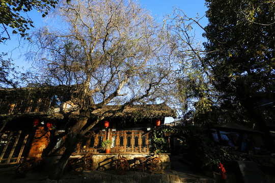 束河古鎮(zhèn)