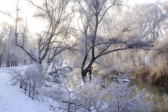 雪景