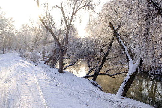 雪中小路