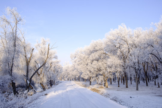 雪景