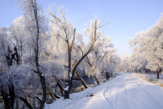 雪中小路