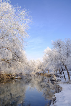 雪景