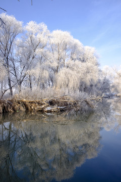 雪景