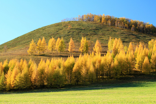 山林秋景