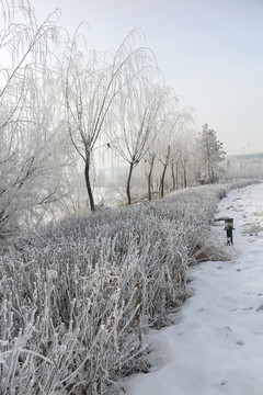 雪岸霧凇