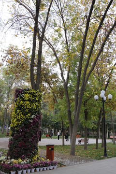 公園