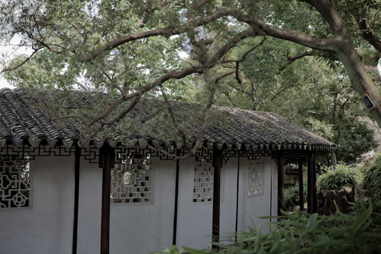 蘇州園林廊景
