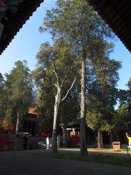 寺院