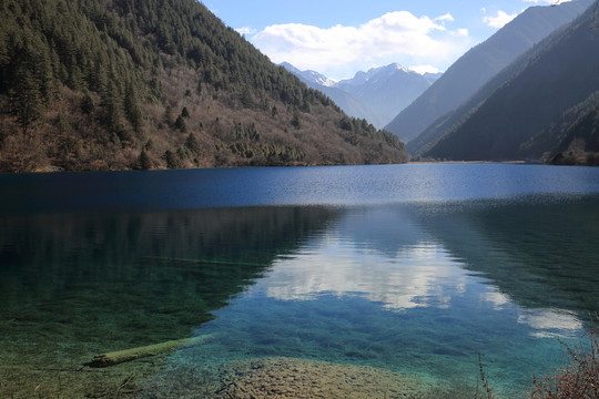 犀牛海