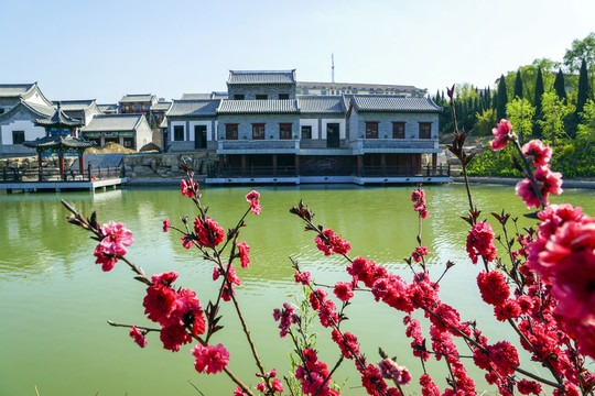 仿古建筑 梅花