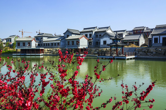 仿古建筑 梅花