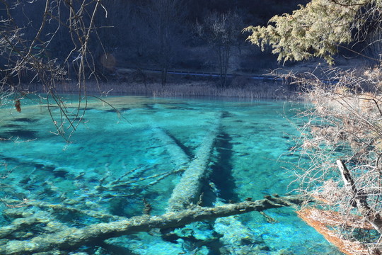 樹正群海