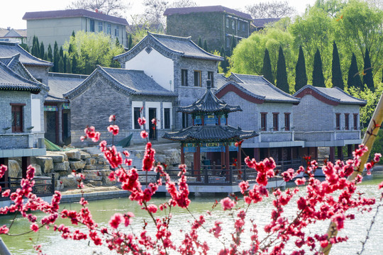 仿古建筑 梅花