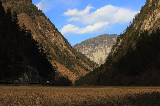 蘆花海