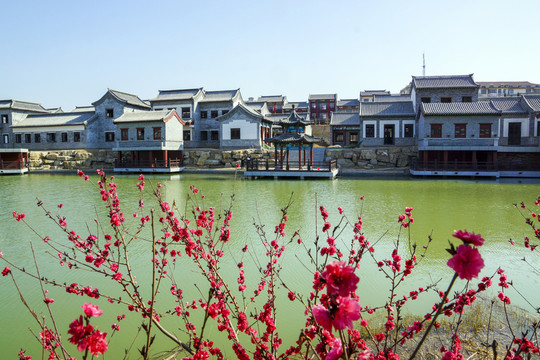 仿古建筑 梅花