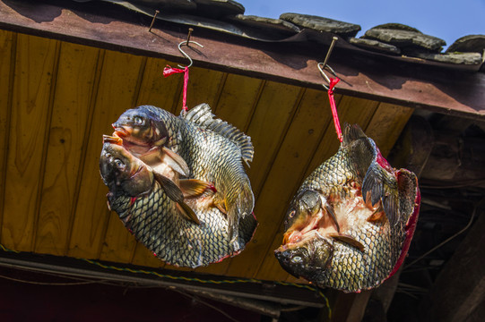 魚干