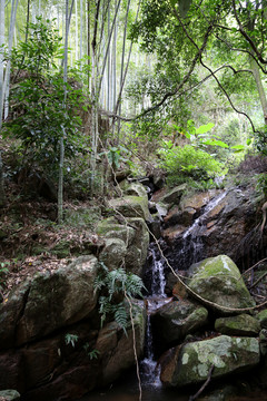山澗亂石 溪水
