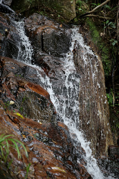 山澗溪水