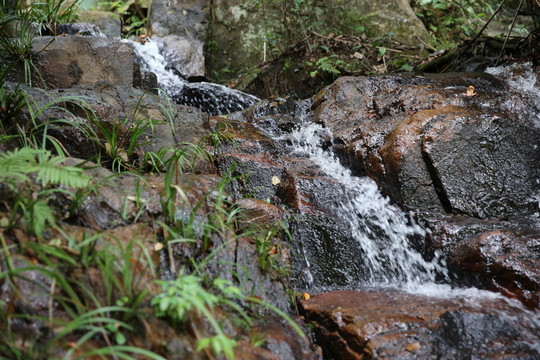 山澗溪流