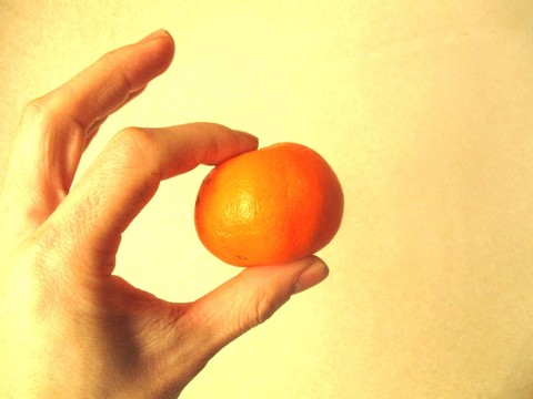 橘子 手持橘子 手持柑橘 摄影