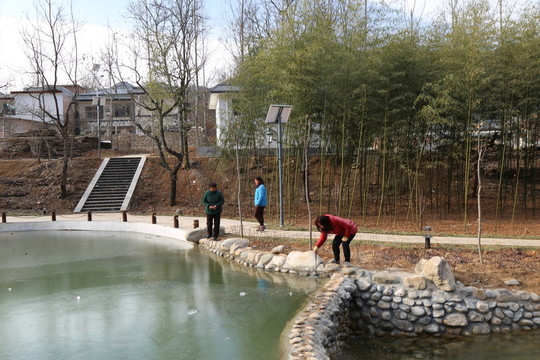 新農(nóng)村