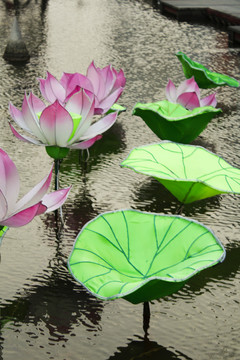 荷花 工藝品 景觀 公園