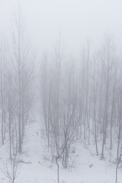 迷霧
