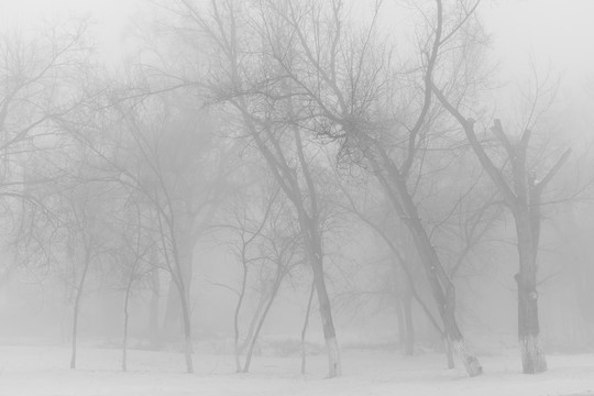 冬雪