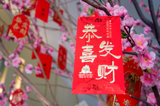 恭喜發(fā)財