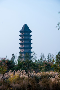 臨清舍利寶塔