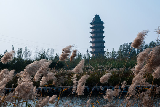 臨清舍利塔