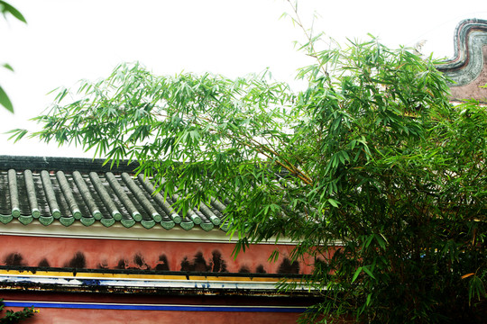 屋脊 古建筑物
