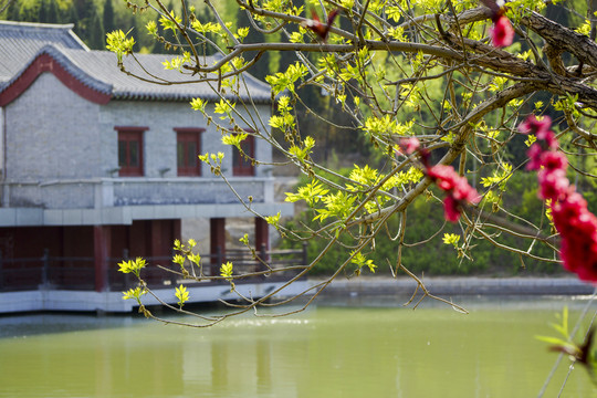 公園春光