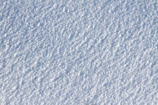 雪地