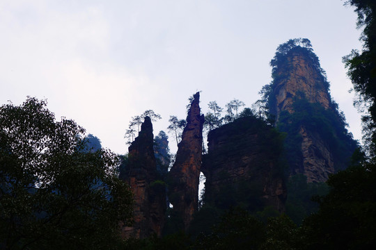 張家界金鞭溪山峰