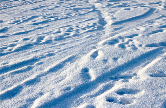 雪地
