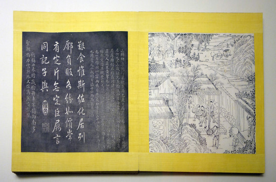 棉花全圖
