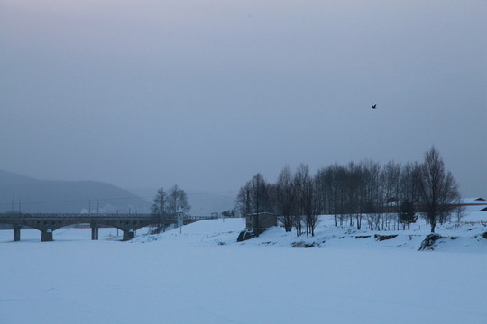 原野