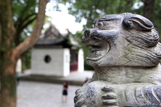 石獅子頭 拿球的獅子