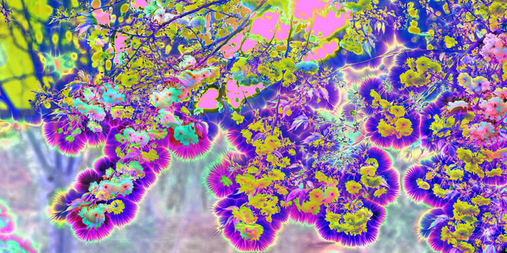 花卉裝飾畫 無分層