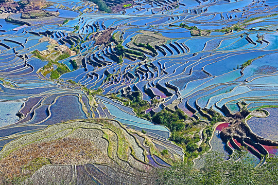 梯田