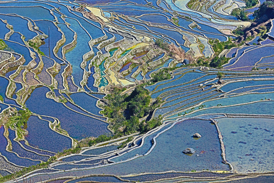 梯田