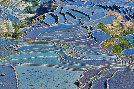 梯田