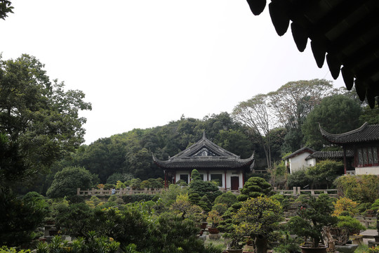 蘇州園林 亭榭盆景
