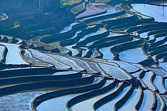 梯田