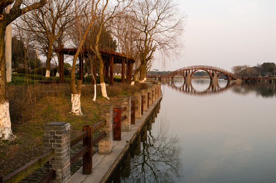公園景觀 冬天