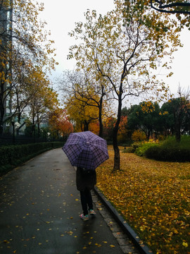 公園中撐傘的人