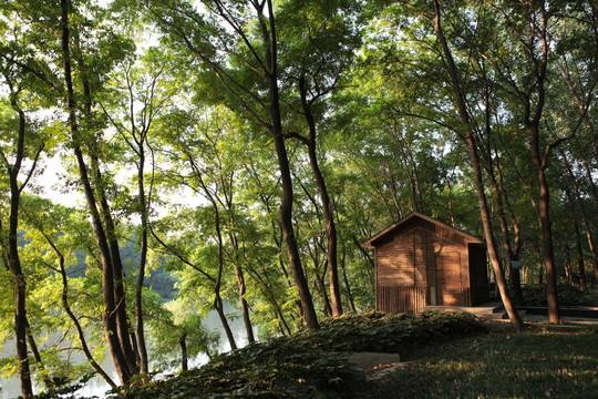 小木屋