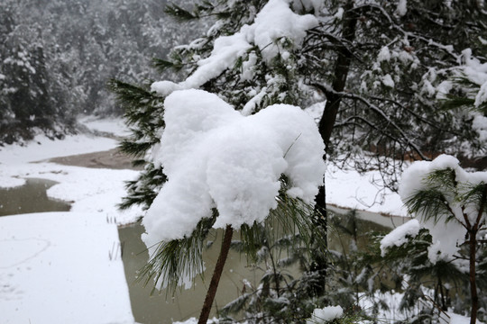雪景